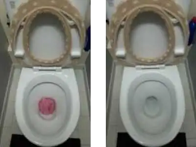 岡崎市トイレのつまり